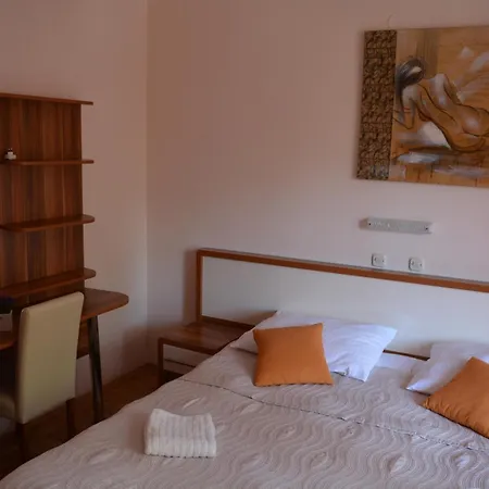 潘修齐克酒店 3*