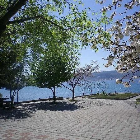 潘修齐克酒店 招待所 3*