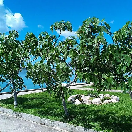 Pansion Kiko 3* Starigrad Paklenica