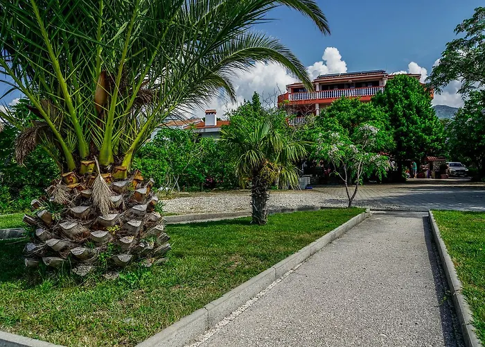 Pansion Kiko 3* Селине