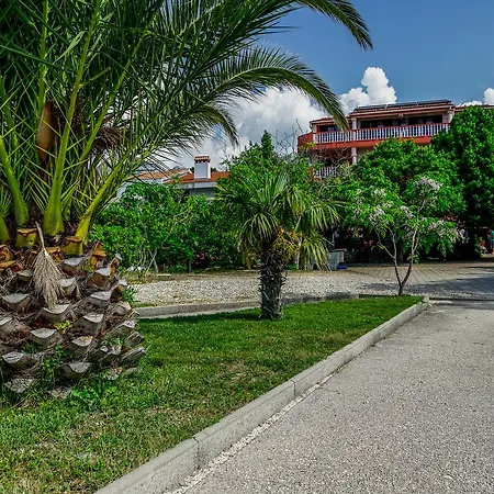 Pansion Kiko 3* Seline