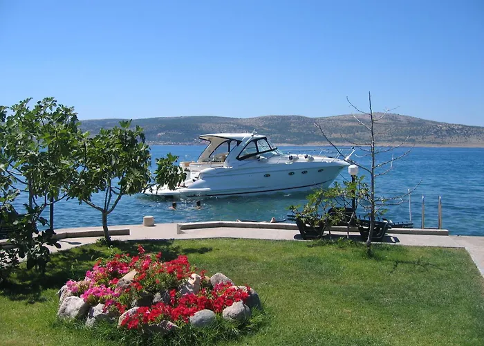 Vendégház Pansion Kiko 3*